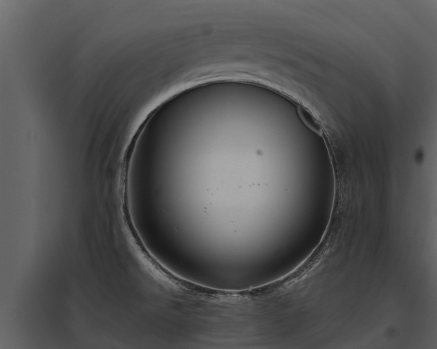 X0000095681526200801151114