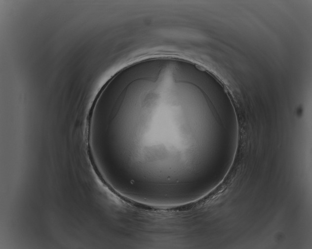 X0000095681527200801151114