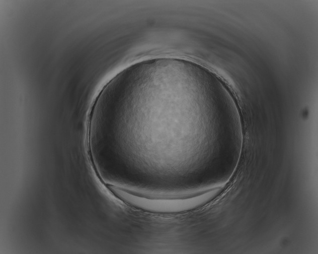 X0000095681528200801151114