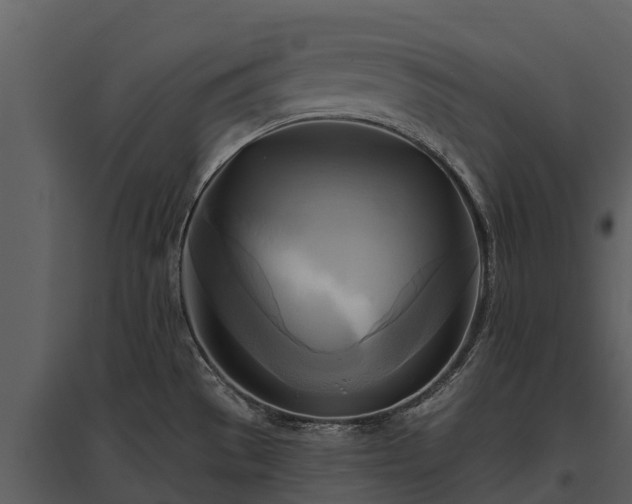 X0000095681529200801151114