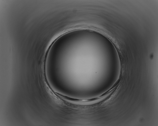 X0000095681530200801151114