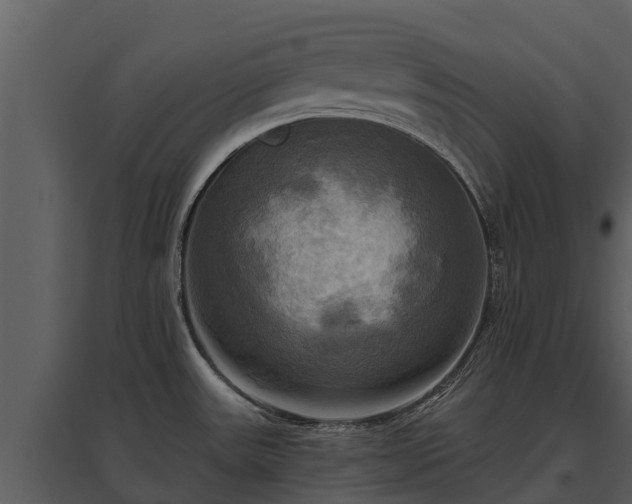 X0000095681531200801151114
