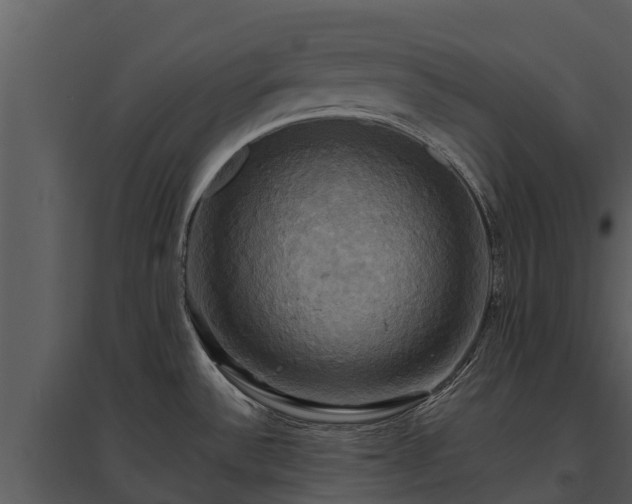 X0000095681532200801151115