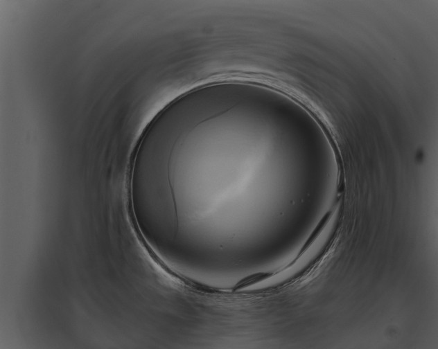 X0000095681533200801151115