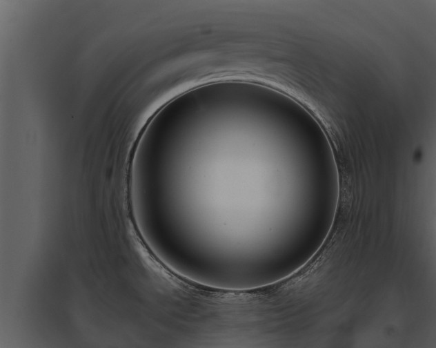 X0000095681534200801151115