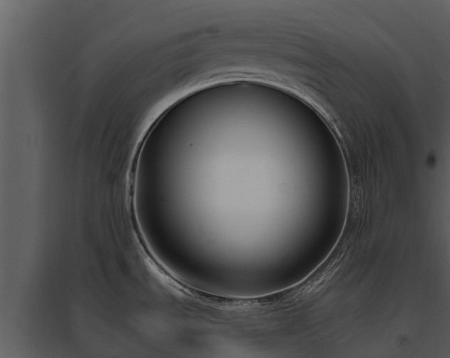 X0000095681535200801151115