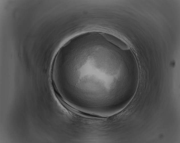 X0000095681536200801151115