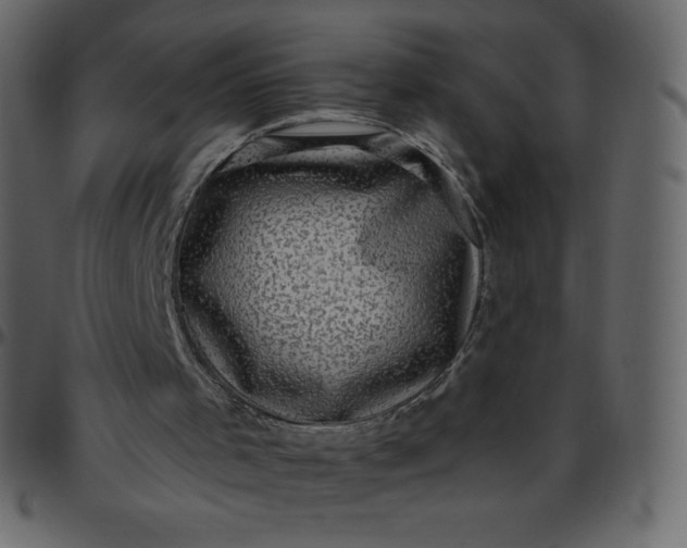 X0000095680001200801221236