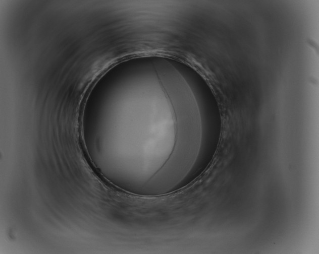 X0000095680002200801221236