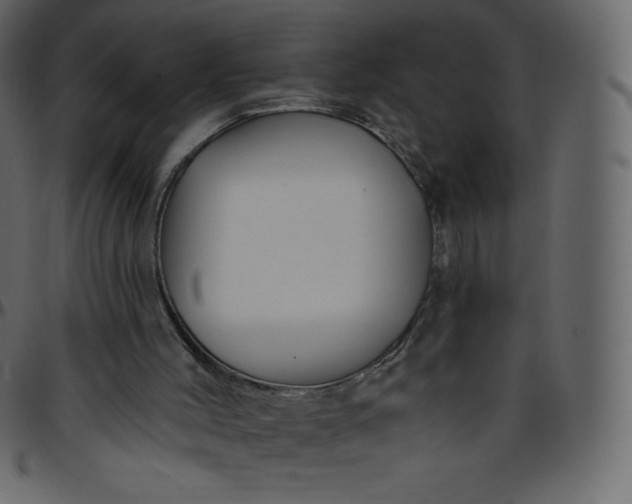 X0000095680004200801221236