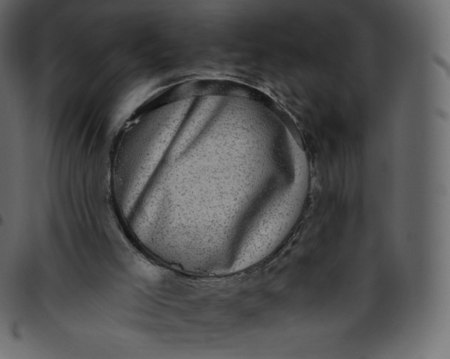 X0000095680005200801221236