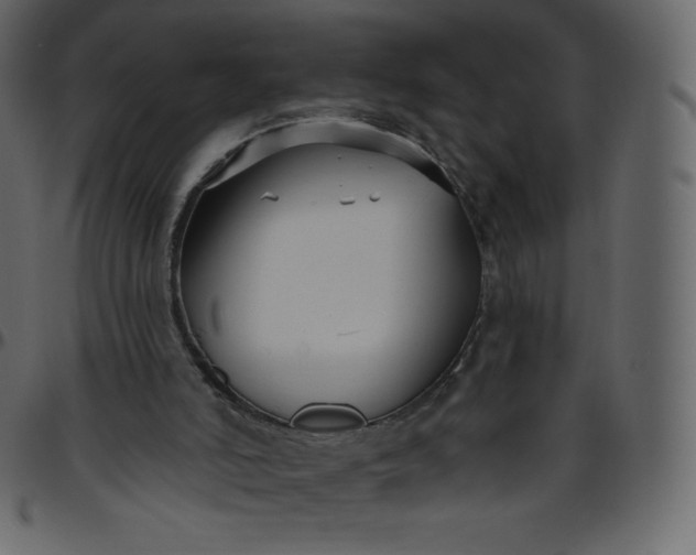 X0000095680006200801221236