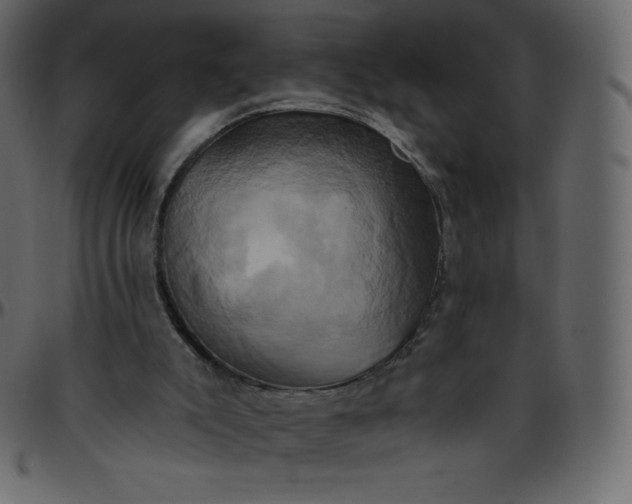 X0000095680007200801221236