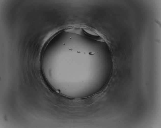 X0000095680008200801221236