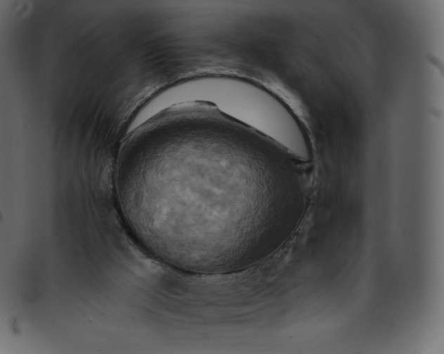 X0000095680009200801221236