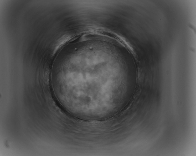 X0000095680010200801221236