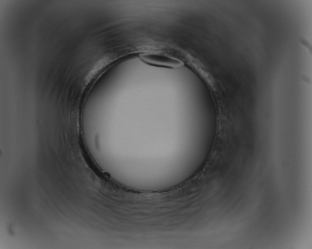 X0000095680011200801221236