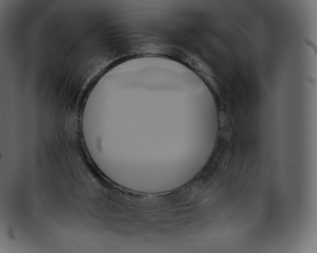 X0000095680012200801221236