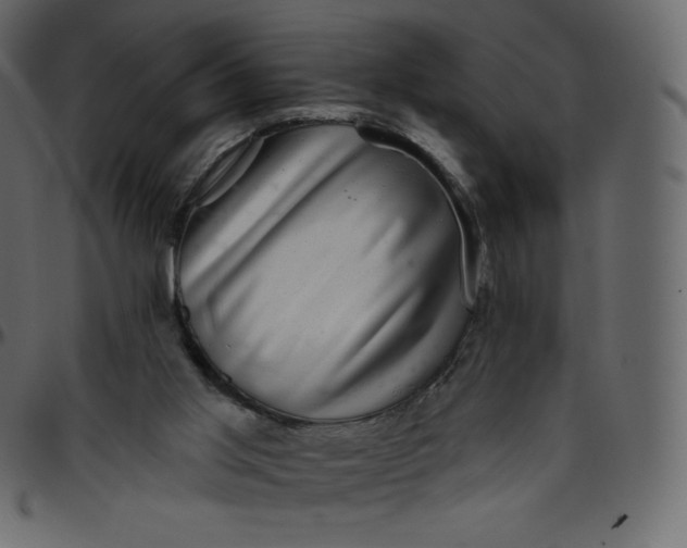 X0000095680013200801221236