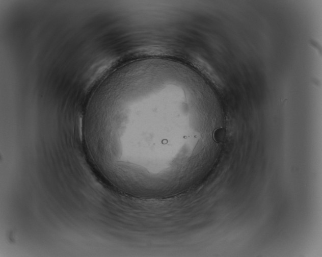 X0000095680014200801221236