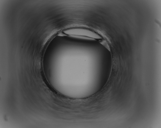 X0000095680015200801221236