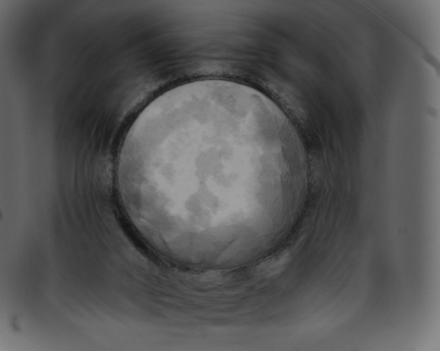 X0000095680016200801221236