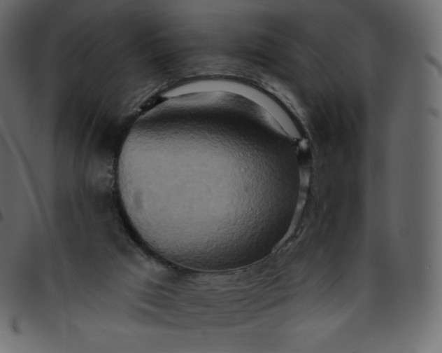 X0000095680017200801221236