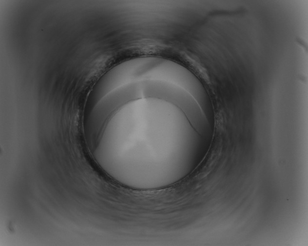 X0000095680018200801221236