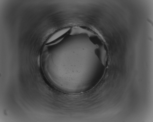 X0000095680019200801221236