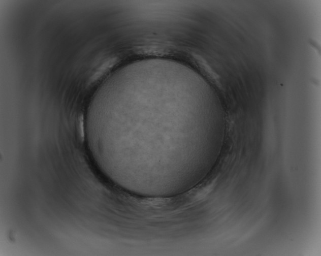 X0000095680020200801221236