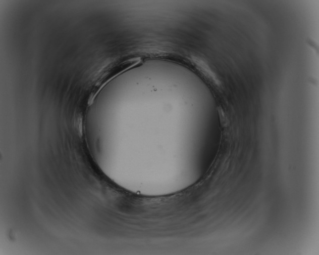 X0000095680021200801221236