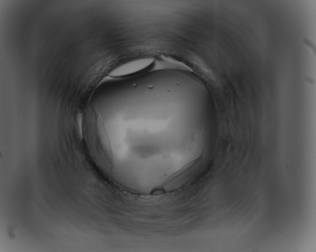 X0000095680022200801221236