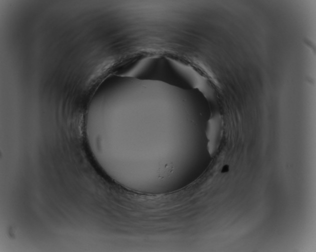 X0000095680023200801221236