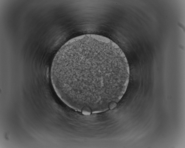 X0000095680024200801221236