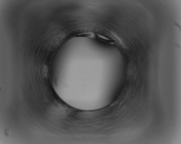 X0000095680025200801221236