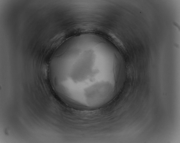 X0000095680026200801221236