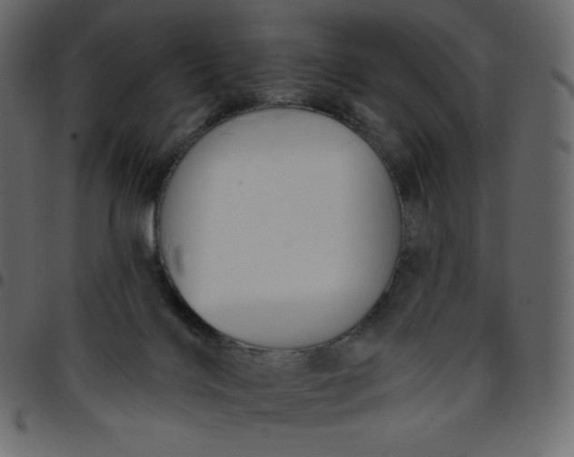 X0000095680028200801221236