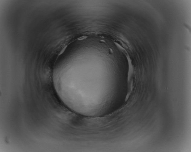 X0000095680029200801221236