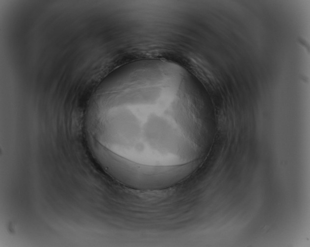 X0000095680030200801221236