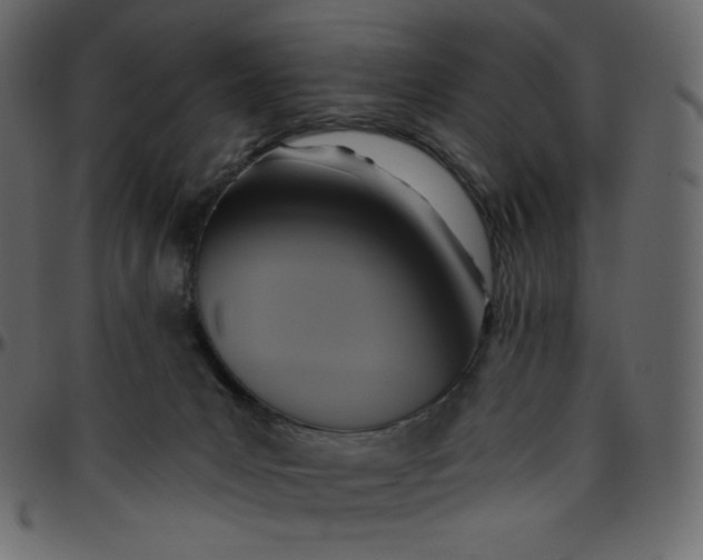 X0000095680031200801221236