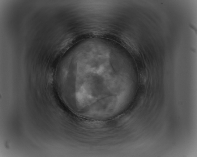 X0000095680032200801221236