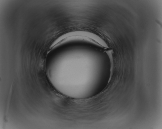 X0000095680033200801221236