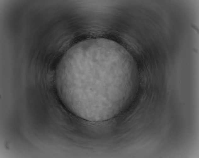 X0000095680034200801221236