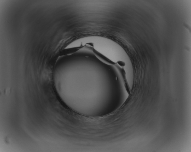 X0000095680035200801221236