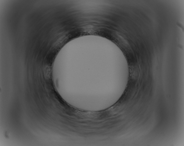 X0000095680036200801221236