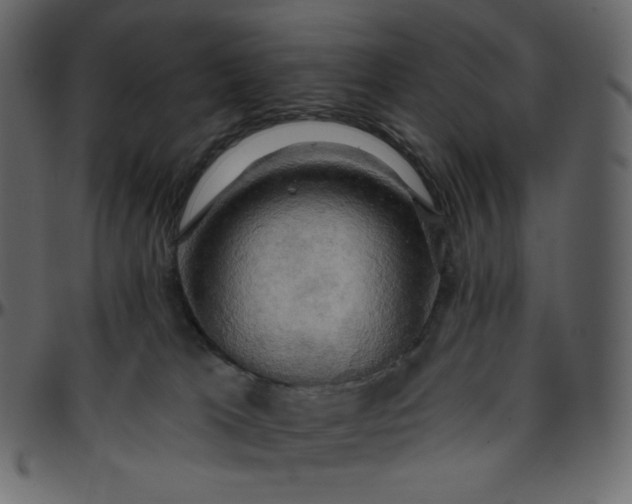 X0000095680037200801221236