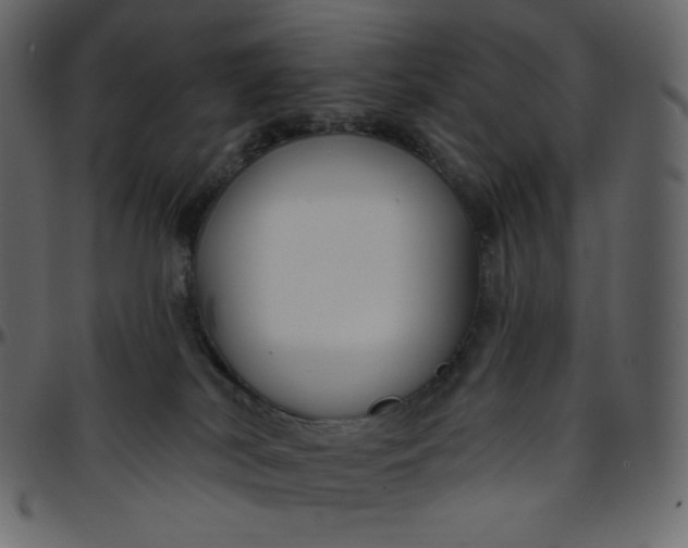 X0000095680038200801221236