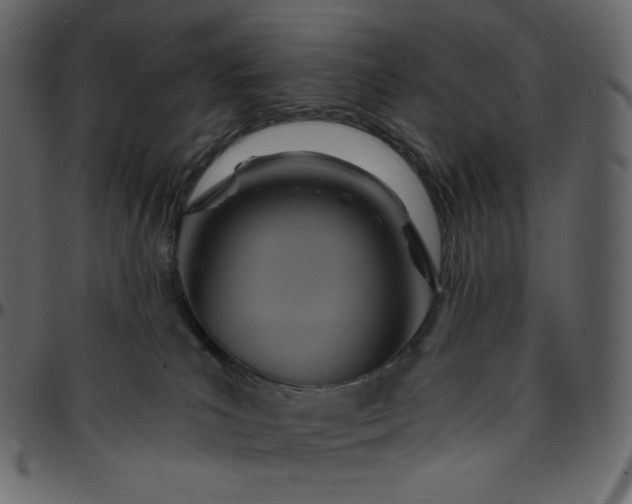 X0000095680039200801221236