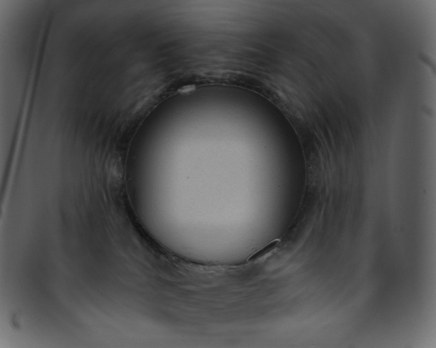 X0000095680040200801221236