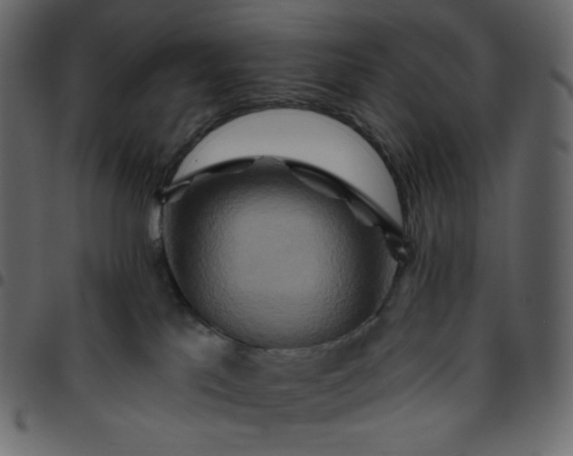 X0000095680041200801221236